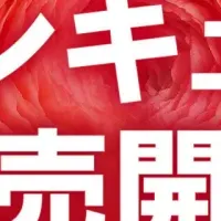 ラナンキュラス販売