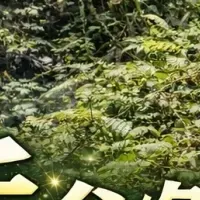 寿活の新たな視点