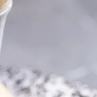 美食イベント楽しむ