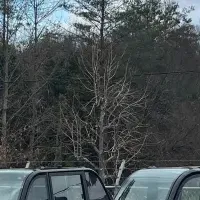 mibotが初回納車！