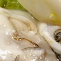 冬の極上牡蠣鍋