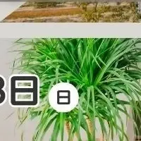 フィアスホームの見学会