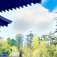 流山新しい供養