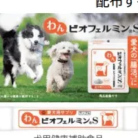 腸活サプリ登場！