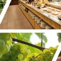 宮崎と川崎のワインイベント