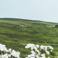 ワクワク老いるプロジェクト