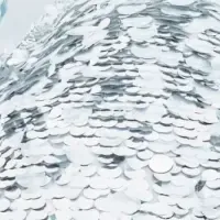 2026 S/S コレクション