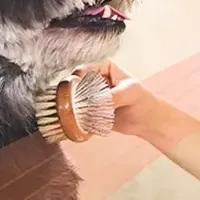 新ドライヤー「HUG AIR」