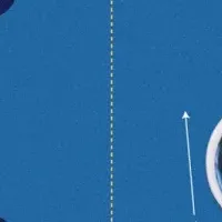 犬記録の限定アイテム