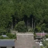 南丹市のふるさと納税