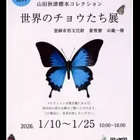 世界のチョウたち展