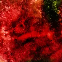 ミュージアムと気候変動