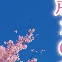 絶景桜名所特集