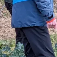 陸前高田で国際交流