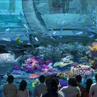 サンゴ礁保全の挑戦