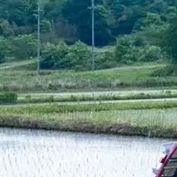 法人向け田んぼプログラム