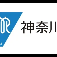 次世代型太陽電池の実証