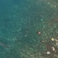 ブルーカーボン活用