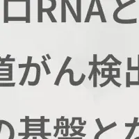 Craifの食道がん検査