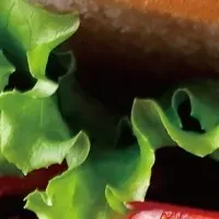 クア・アイナ新作バーガー