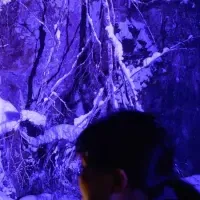 氷瀑ライトアップツアー