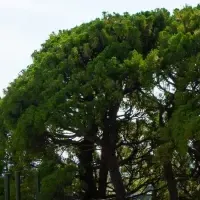 函館の宿泊施設