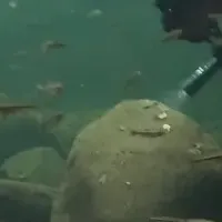 赤目四十八滝の調査