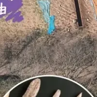 山野貝塚シンポジウム