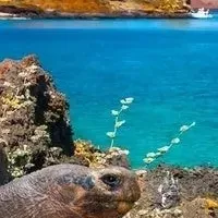 ガラパゴスの旅