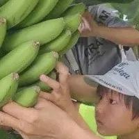 高槻市の魅力探訪