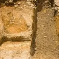 興福寺調査結果