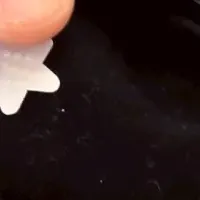 新しい凹凸シール