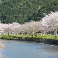 松崎町に事業用地獲得