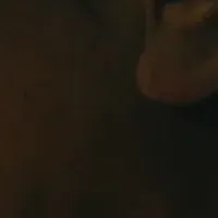 ミセテイワテ動画コンテスト