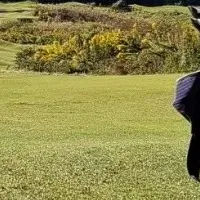 G-CART導入の成果