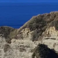 勝浦市でのJブルークレジット取得