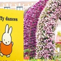 ミッフィーセレブレーション