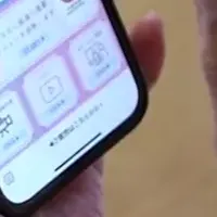 ハピリハの運動診断