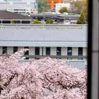 長楽館の春プラン