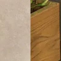 奇跡の皿プロジェクト