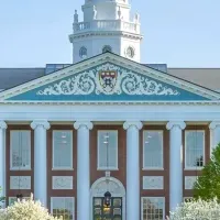 CULFIの新プログラム