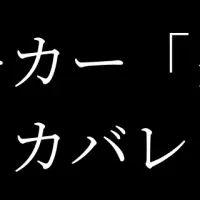 エンヴァリスがタムロンをリサーチ