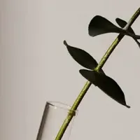 新しい花器a/sym