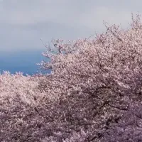 静岡春セミナー