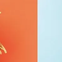 新シリーズ「旅するスワッグ」