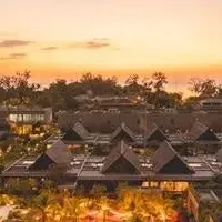 UMITOとAVCが提携