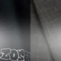 成長企業の戦略