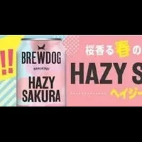 新感覚ビール登場