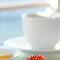 春のティータイム宿泊