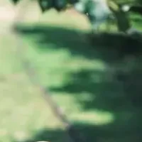 豊田市の魅力発信